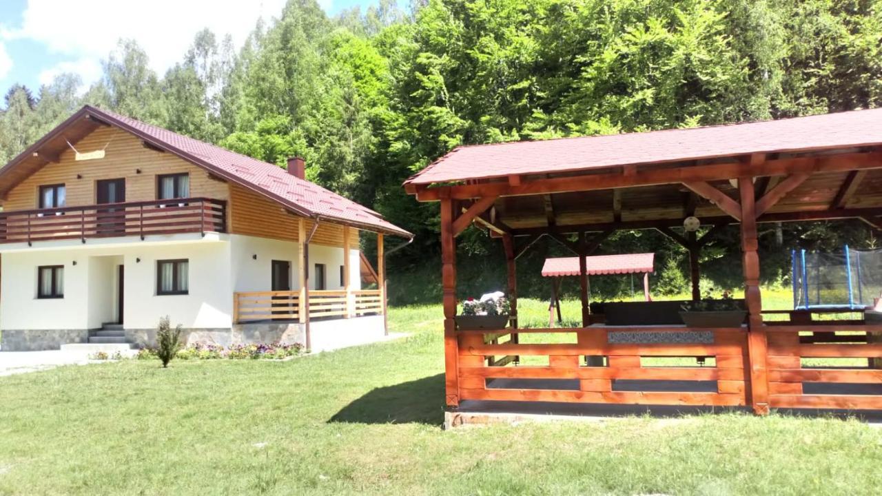 Pensiunea Floare De Colt Moisei Exterior foto