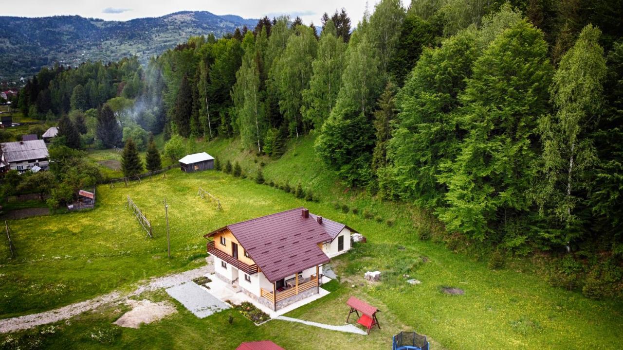 Pensiunea Floare De Colt Moisei Exterior foto