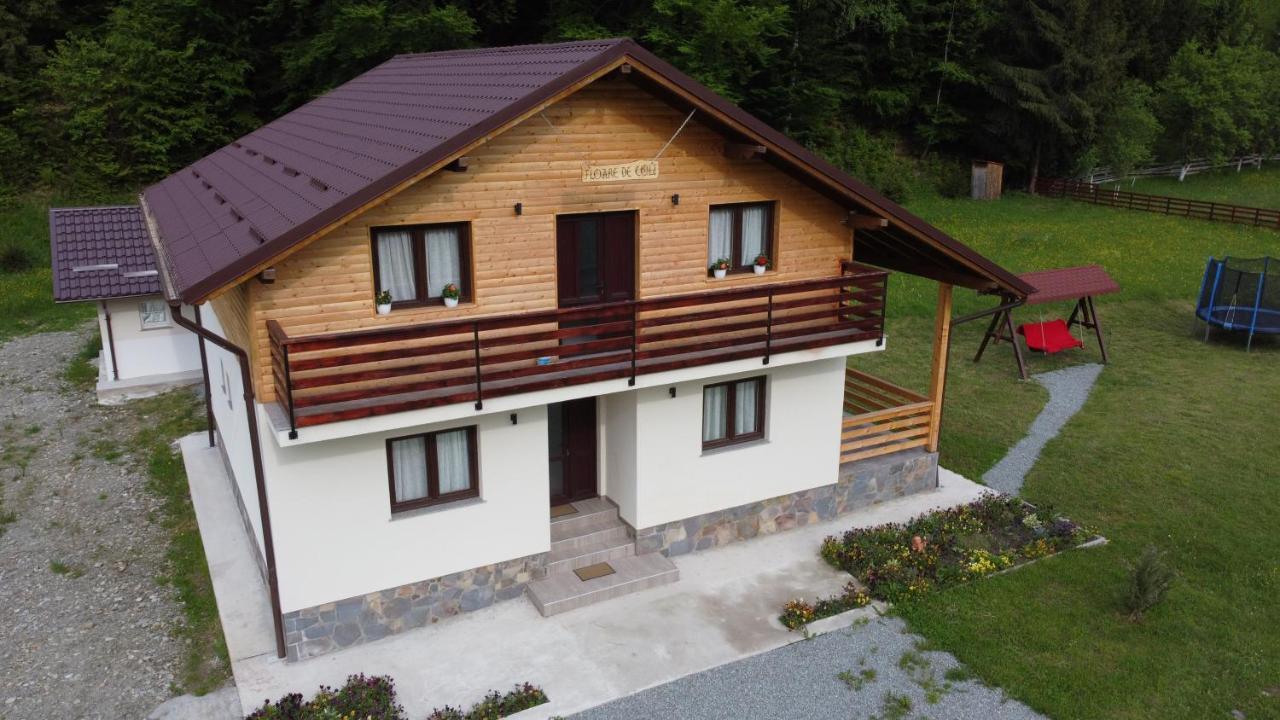 Pensiunea Floare De Colt Moisei Exterior foto