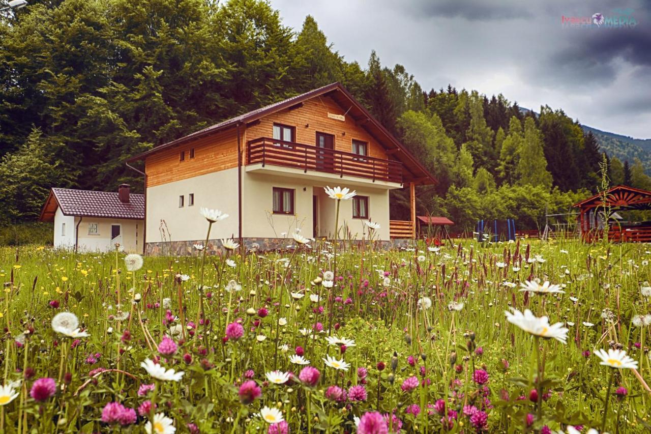 Pensiunea Floare De Colt Moisei Exterior foto