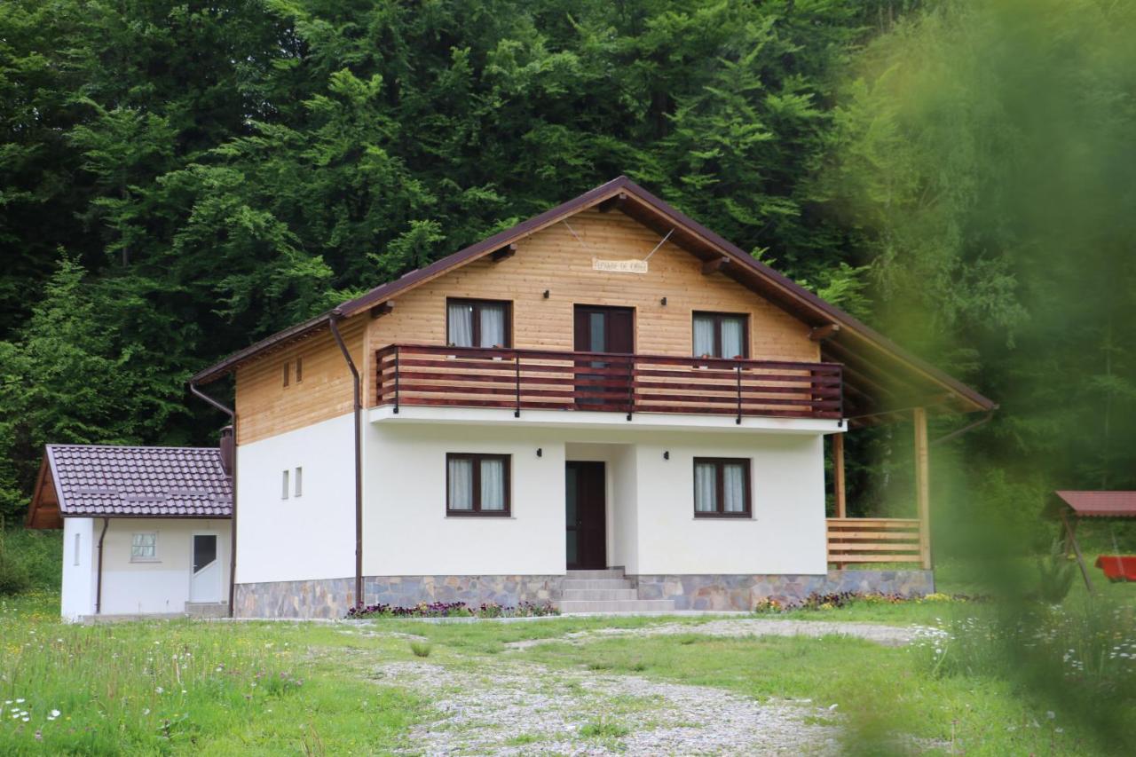 Pensiunea Floare De Colt Moisei Exterior foto